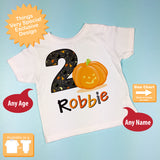 Fall Pumpkin Theme Birthday Tee shirt for two year old boy 10022012a