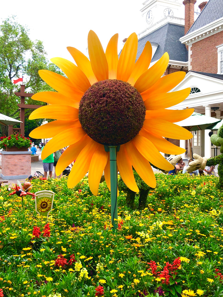 Flower and Garden Food at EPCOT Review - April 3, 2019 (multiple post part 3)