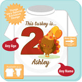 Thanksgiving Theme Second Birthday Shirt - 2nd Birthday shirt for 2 year old 08032016d